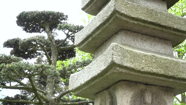 the japanese garden in Hamburg at Planten und Bloomen