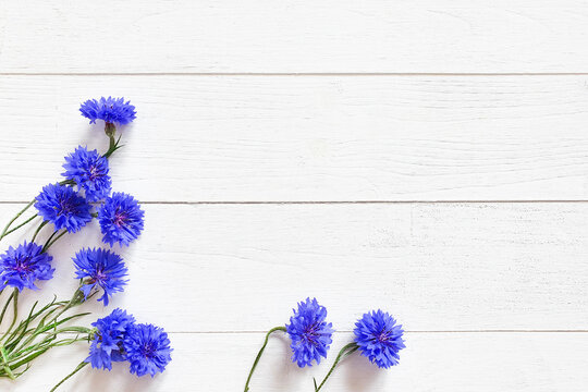 Top view of bright blue flowers on a textured white wooden background. Floral flatlay.