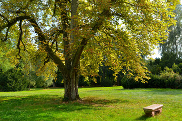 Wildpark Kranichstein Südhessen