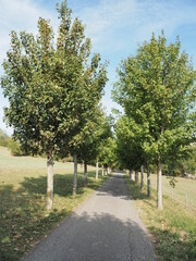 Naturschutzgebiet - Hangflächen bei Gräfinthal