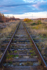 An old abandoned grassy railway