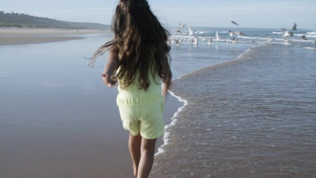 Active little black haired girl running on beach and water to flying up gulls. Back view. Childhood and leisure concept
