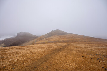 Fototapeta premium Foggy yellow mountain path at Landmannalaugar, Iceland