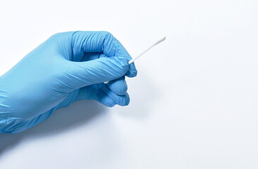 hand wearing blue glove holding cotton bud for testing coronavirus or COVID-19 on white background