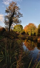 Beautiful Sunrise at Irish Canal