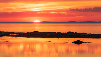 Fototapeta premium Colorful orange sunset with one seagull on island