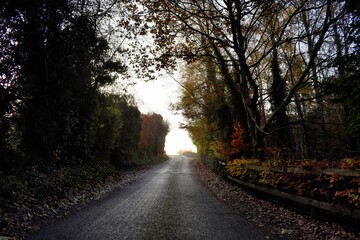 Foggy Fresh Morning at Irish Countryside Landscape