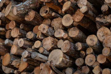 Timber logs in a huge stack. Cut wood logs, firewood.