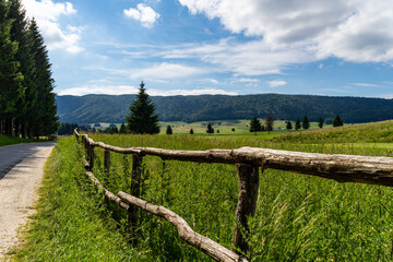 Cansiglio foresta Veneto 