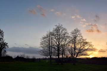 Beautiful Morning Irish Countryside