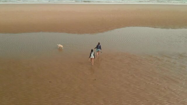 Drone videos of a happy family walking on a beautiful,quiet, low tide sandy beach with their dog and waves lapping on the shore.
