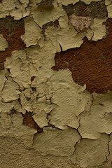 Rost