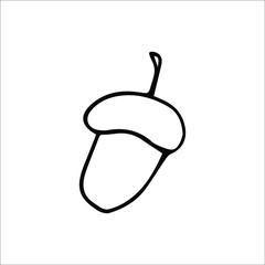 Vector hand drawn doodle acorn icon. hand drawn linear illustration for print, web. doodle style graphic elements for your design.