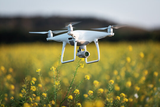 drone quad copter on yellow field