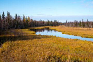 Autumn forest by the river, beautiful landscape