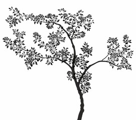 vector illustration of tree silhouette
