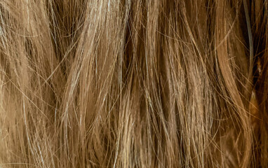 Brown hair colour texture