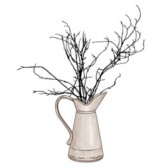 . Rustic pitcher  vase with dry branches.  Vector vintage jug. Color sketch. Isolated object on white background.