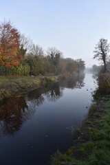 Fototapeta na wymiar Beautiful Morning at Irish Canal