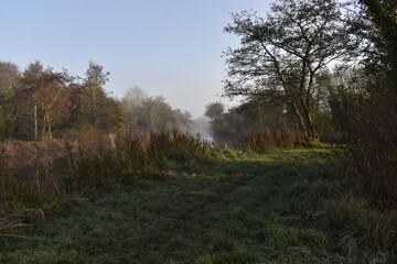 Beautiful Sunrise in Irish Countryside