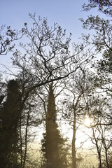 Beautiful Sunrise in Irish Countryside