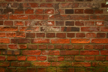 Obraz premium Backsteinwand