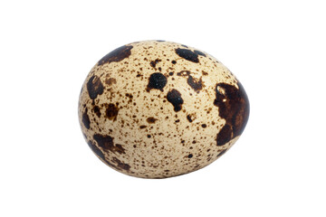Macro shot quail egg isolated on white background. Quail eggs close-up isolated on a white...