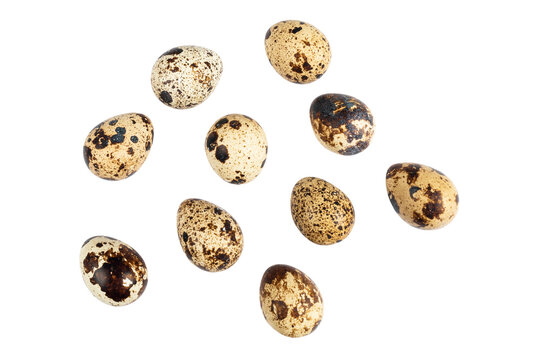 Quail eggs isolated on white background. Group of quail eggs close-up isolated on a white background. Top view. Detailed closeup of spotted quail eggs