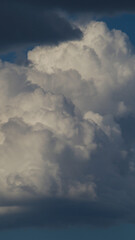 Gros cumulus congestus