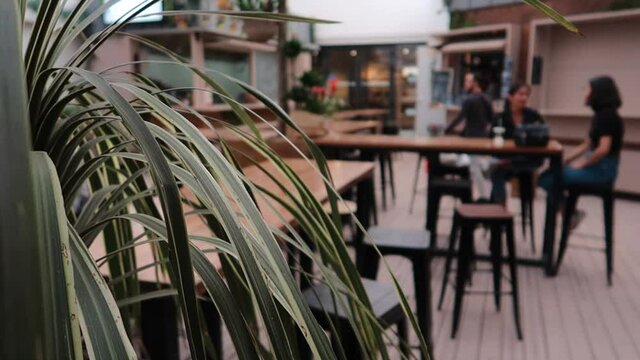 conversation in the background in a cafe with a plant in foreground