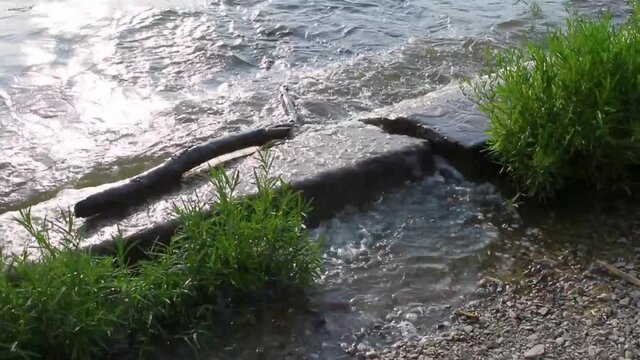 Some footage of a boat wake on an old dock.