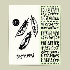 Hand drawn ink peas and lettering for organic farm products.