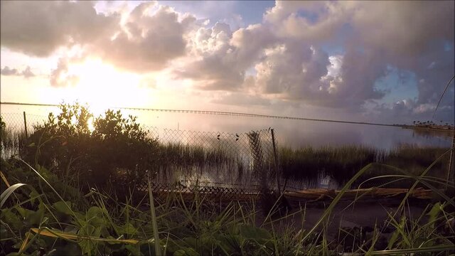 Sunrise Over the Swamp