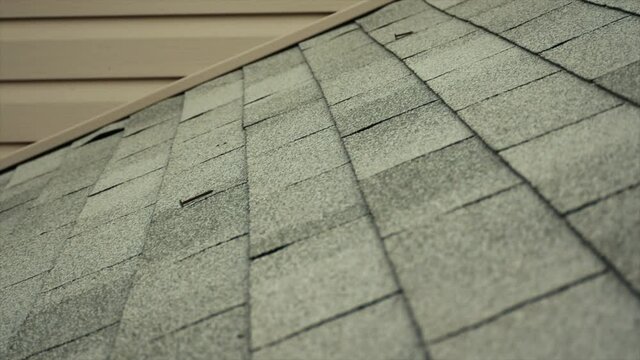 Walking up a roof, blonde shingles with siding along the back of the image.