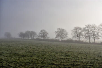 Fototapeta na wymiar Foggy Irish Countryside
