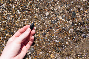 The hand of the girl holds a wet pebble. Small stones and algae under water near the shore. Stones of the river