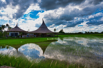 Nakhon Pathom / Thailand / August 9 2020 : Chata Thammachart, Coffee shop with natural atmosphere in the middle of rice fields.