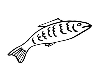Hand-drawn simple vector drawing in black outline. Fish isolated on a white background. Seafood, ingredient, recipe, menu. Kitchen design, coloring book.