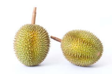 Durian as a king of fruit in Thailand.  It has strong odor and thorn-covered rind.