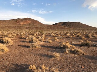 landscape in the desert