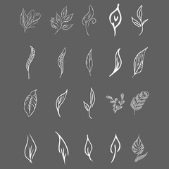 Doodle collection of 20 hand-drawn floral elements. Big collection of 20 hand-drawn leaves. Big floral botanical set isolated on a grey background