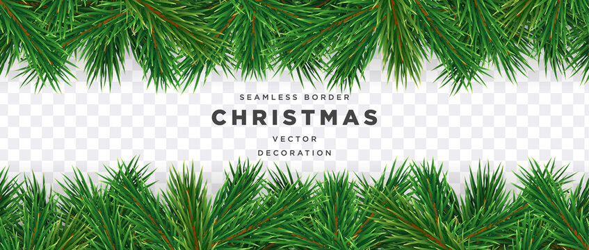 Seamless Christmas tree border template vector on isolated transparent background
