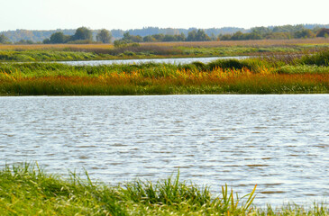 North-European autumn landscape with floodplain meadows and lakes in the sunny day  
