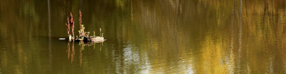 Reflections in water. Autumn season.