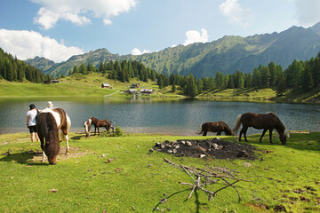 Pferde auf der Weide vor dem Duisitzkarsee bei Schladming