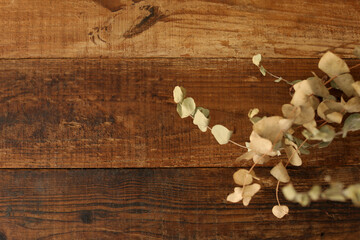 Obraz na płótnie Canvas Dry plant lying on a wooden table. Natural wood texture. Copy space