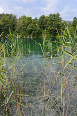 The beautiful turquoise waters of the Plitvice Lakes National Park in Croatia