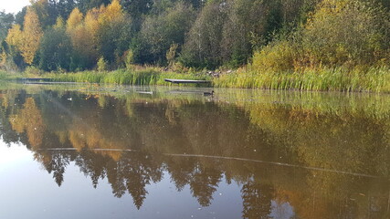 reflection in the lake