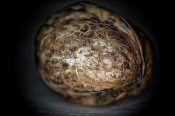 Close-up photo of a walnut on a dark background