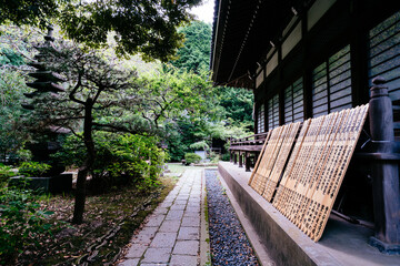 鎌倉 安国論寺の参道